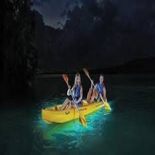 Night kayaking tour whit bioluminescence Plankton's on Lan Ha Bay.