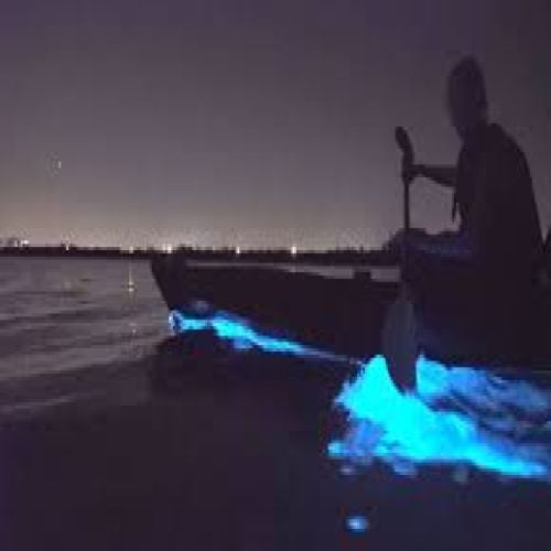 Night kayaking tour whit bioluminescence Plankton's on Lan Ha Bay.